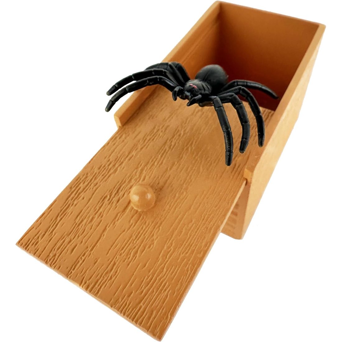 World's Smallest Spider Box